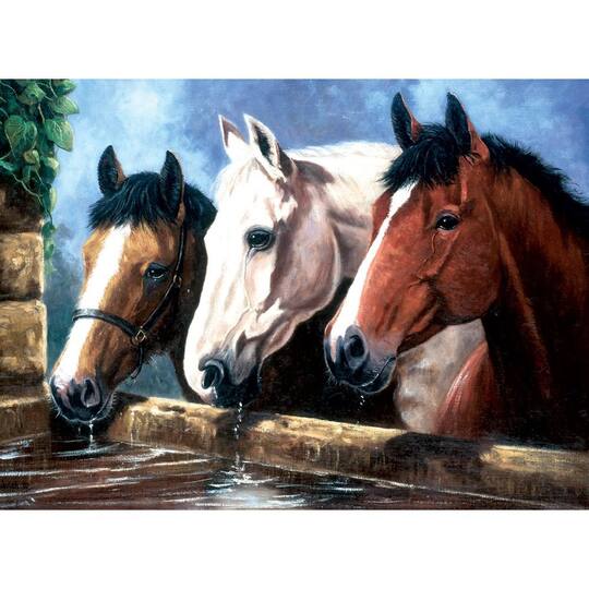 royal langnickel three of a kind painting by numbers kit michaels